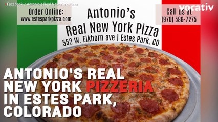 Mama Bear And Cubs Break Into Pizzeria For A Late Night Snack