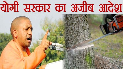 Yogi Adityanath Govt allowed tree cutting but with exception | वनइंडिया हिंदी