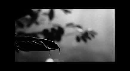 aboulomania sleep breathe eat