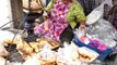 Bangkok Street Food. The Fried Fish Paste and other Strange but Good Foods of Thailand