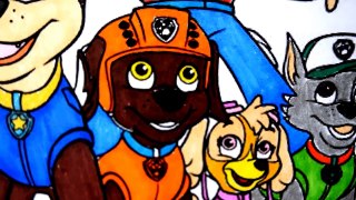 Nick Jr. Paw Patrol and Disney Junior Princess Sofia the first - Coloring Page