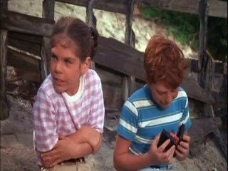 Flipper 1964 S03e28 Flipper's New Friends Part 2