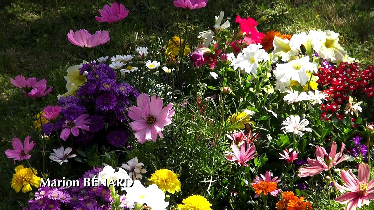 Parcours artistique "Hors d'oeuvres #8"