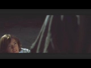 Mejor Corto - El talento de las moscas