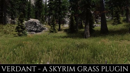 Skyrim SE Mods: Verdant - A INCREDIBLE Skyrim Grass Plugin