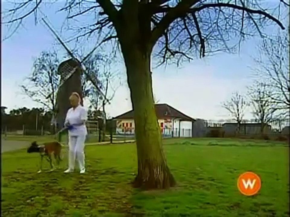 How Clean is Your House Worst Flat Ever