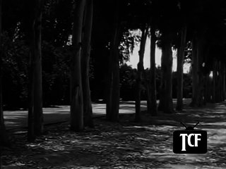 071. Highway Patrol E71 In Hot Rod