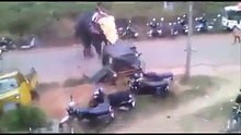 ELEPHANT ON RAMPAGE