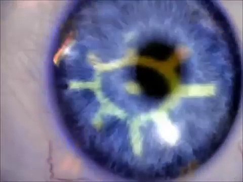 Resident evil 1 Director´s Cut ps1 Intro + armas infinitas + trajes alternativos + save game