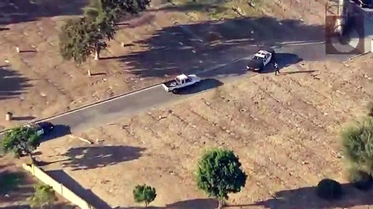 Police chase reckless driver
