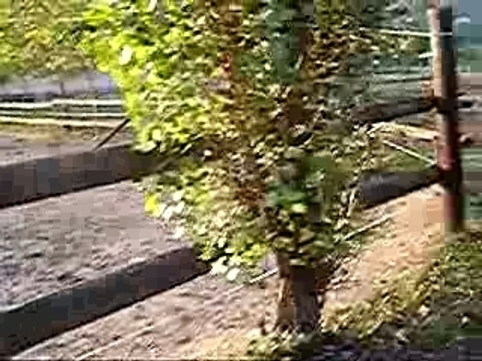 Ferme Equestre de Seuzac 3