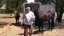 Understanding Horse Instincts - Being a voice for the Horse - Rick Gore Horsemanship