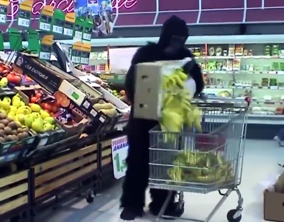 Funny Video Compilation