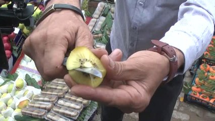 5. Yalova Subaşı Kivi Festivali"