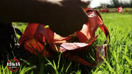 "13h15". Pour Vianney, guide de la faune et de la flore, la nature est un véritable garde-manger...
