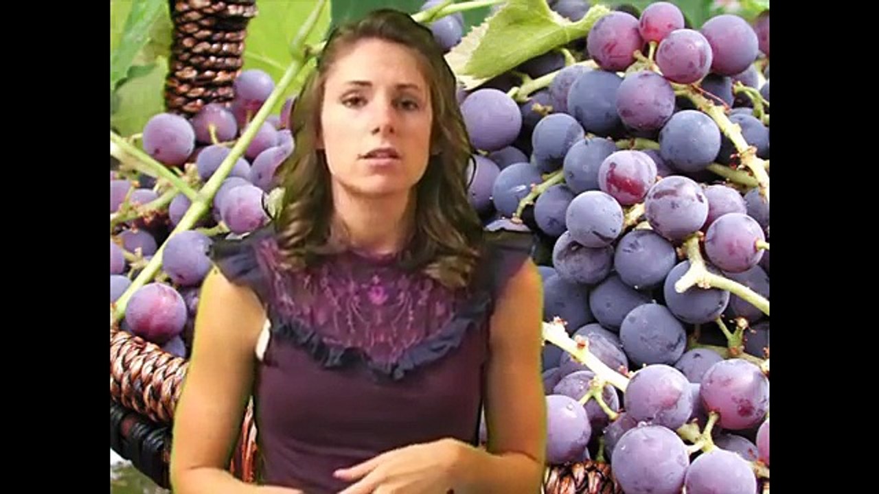 Drinking Red Wine, Healthy or Excuse to Get Drunk? Nutrition