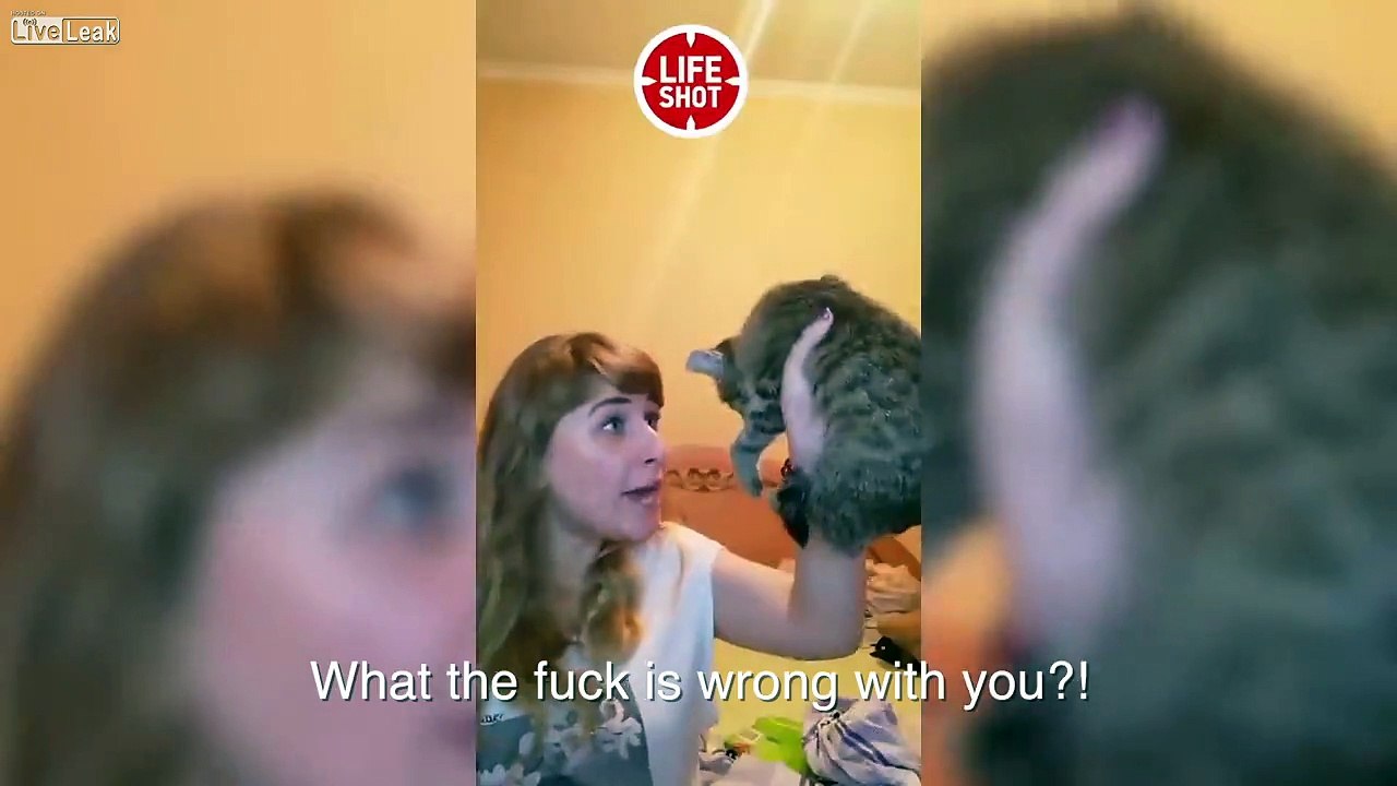 Kitten rescued from a woman that was throwing him against a wall while streaming it