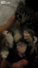 Give me a hug.....please..