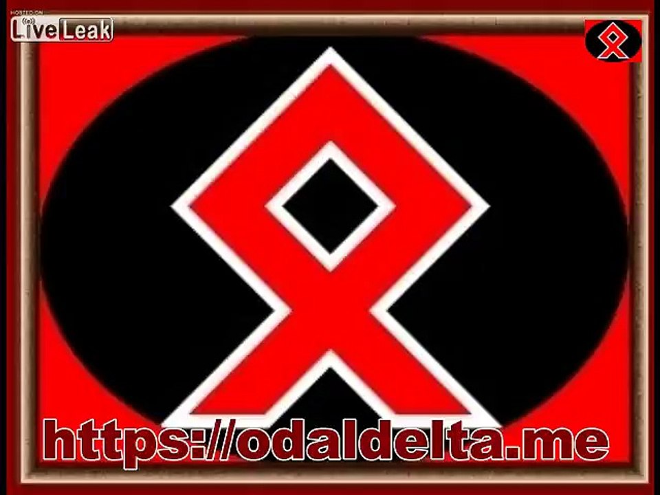 Fighting for the Swastica