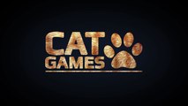 CAT GAMES - CATCHING A WHITE TAIL (VIDEOS FOR CATS TO WATCH)