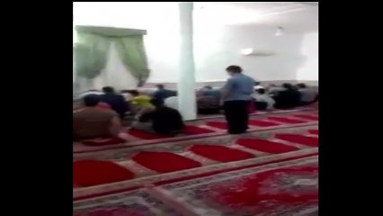 لقطات مضحكه لحيوانات # تحشيش