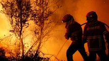 '산불 천지' 포르투갈...소방대원 90%가 자원봉사자 / YTN
