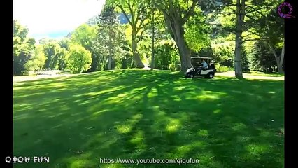 Ultimate Golf Cart Fail Compilation (Funny Videos)