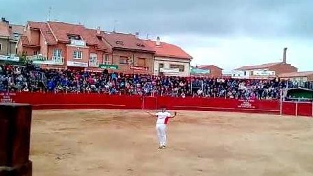 Un taureau fait voltiger un toréro