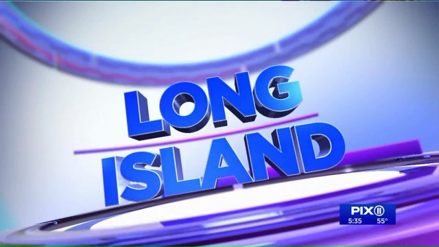 Woman Spends Night in Jail After Elaborate Attempts to Get Out of Ticket