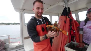 LOBSTERING AND BREW BUS TOUR | Portland, Maine