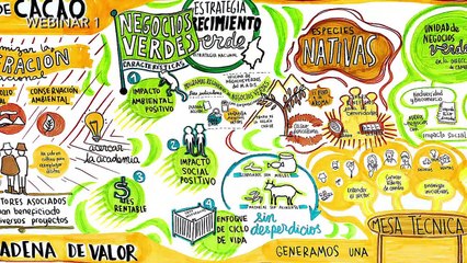 WEBINAR 1Articulación de actores en torno a los Negocios Verdes: Cadena de valor del Cacao.