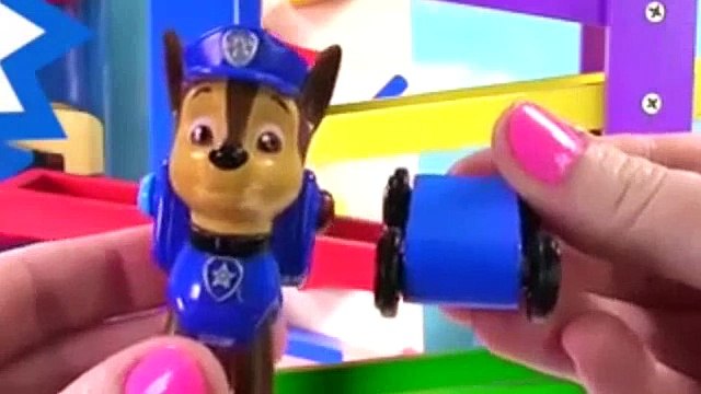 PAW Patrol Race Colorful Cars and Gumballs Down Ramps and