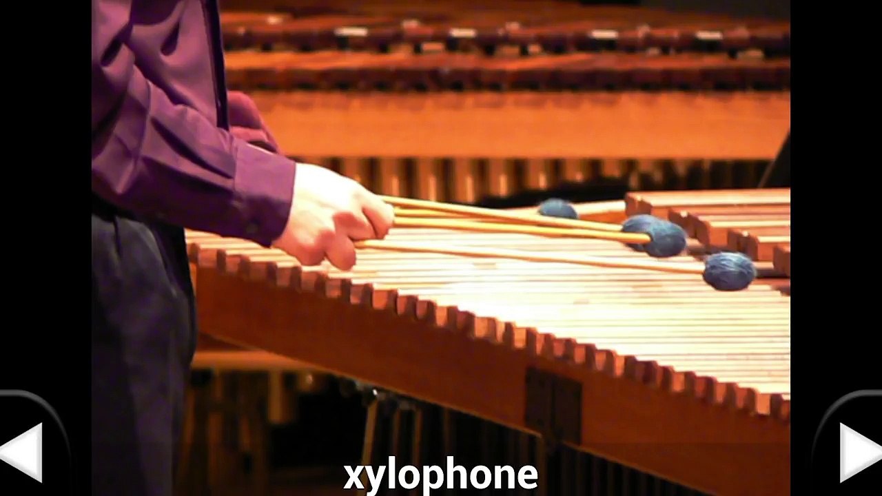 Musical instruments Flashcards for kids | Learn names sounds musical instruments