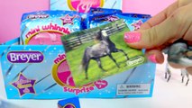 Full Box Breyer Mini Whinnies Surprise Series 2 Mystery Blind Bags 2016 Unboxing Part 1