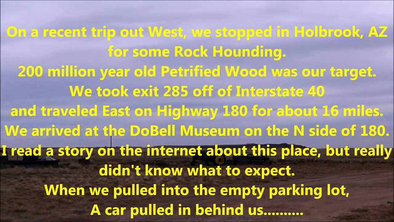 Rock Hounding for Arizona Petrified Wood - Fossil Hunting