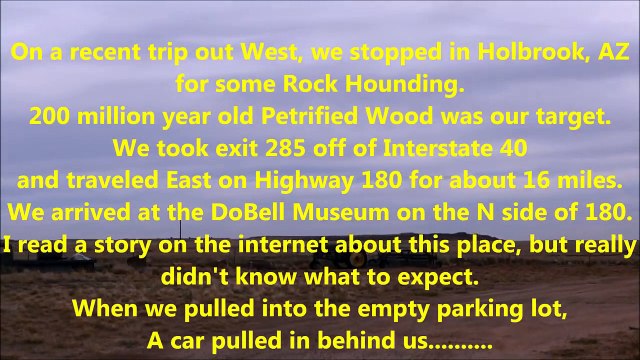 Rock Hounding for Arizona Petrified Wood - Fossil Hunting