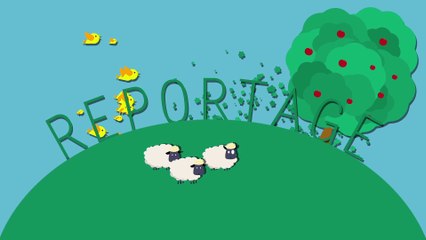 Reportage Vincent Munier