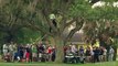 Ce golfeur joue une balle coincée dans un arbre !