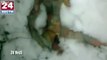 Man discovers mysterious 'frozen alien corpse' badly disfigured and buried in snow - with arm and leg missing