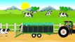 ☻ Farmer Farm Work - Liquid Manure Spreader | Bajki Traktory - Wóz Asenizacyjny | Szambo ☻