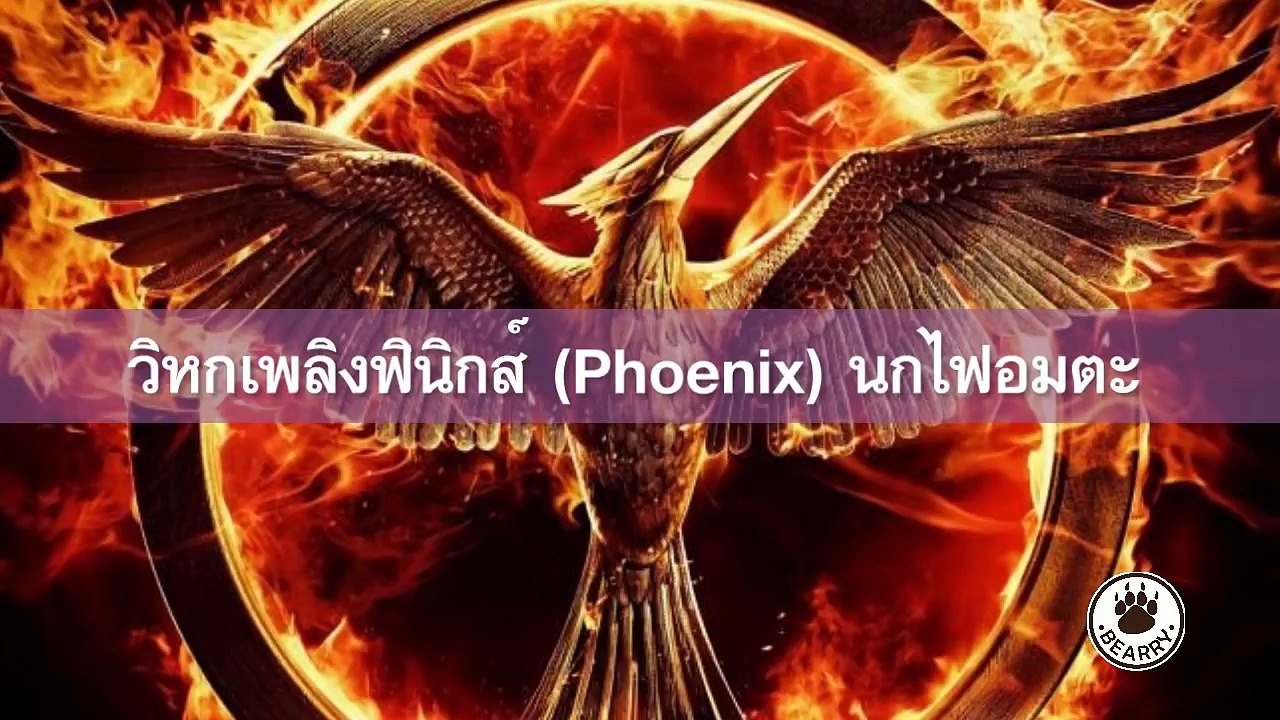 วิหกเพลิงฟีนิกส์ (Phoenix) นกไฟอมตะ | เรื่องลึกลับ