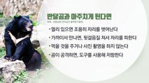 반달곰 만나면 뒷걸음질로 피해야 / YTN