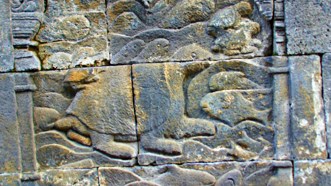 Evolution Documented 2000 Years Before Darwin - Ancient Aliens In India?