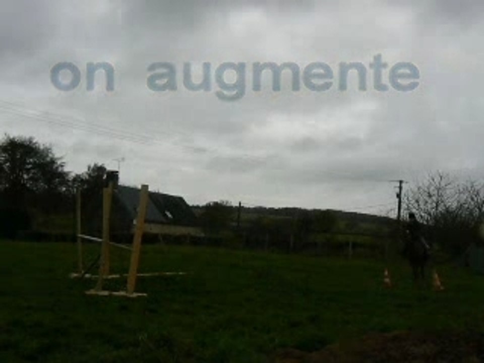 cour de saut