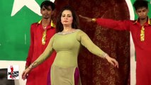 H*T NEW UNSEEN MUJRA BY NIGAR CHOUDHRY - BAS AREYA - 2017 PAKISTANI MUJRA DANCE