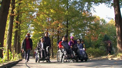 "힘들지만 행복해요" 장애인들의 단풍 나들이 / YTN