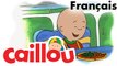 Caillou FRANÇAIS - Caillou n'aime pas les légumes (S01E03) - conte pour enfant
