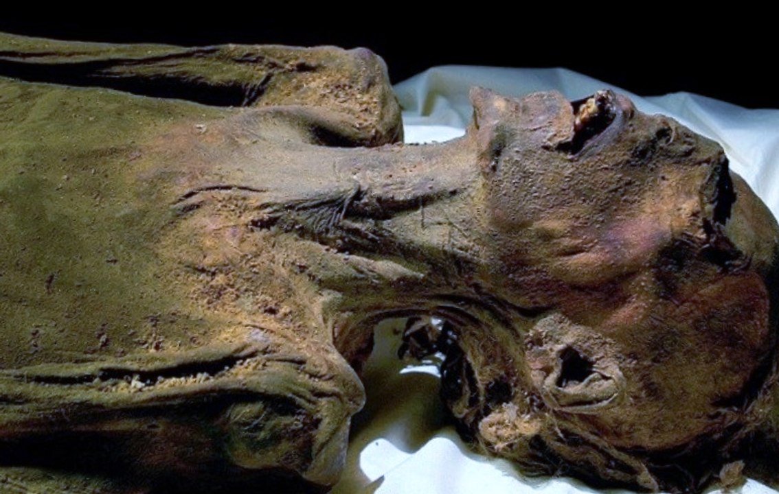 Egito Revelado: A Múmia que Grita [Dublado] Documentário Discovery Channel