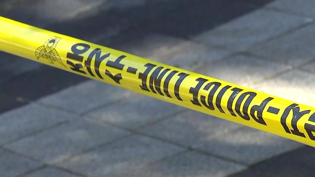 윤송이 사장 부친 살해범, 오늘 구속여부 결정 / YTN