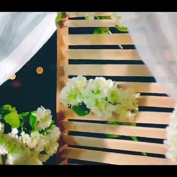 FERRE GOLA - MEA CULPA